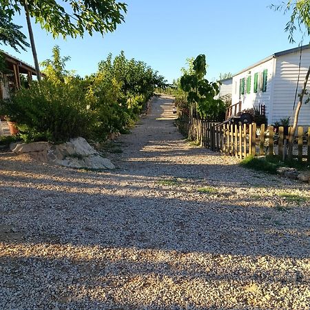 Finca Los Pedrenales Βίλα Castelserás Εξωτερικό φωτογραφία